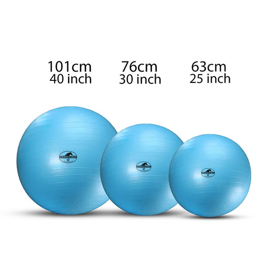 Horsemaster Mega Ball Horse Exercise Toy