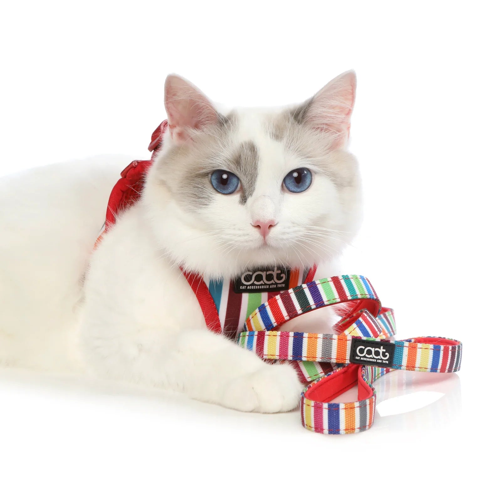 Caat - Cat Harness and Leash Combo - Scooby