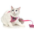 Load image into Gallery viewer, Caat - Cat Harness & Leash Combo - Toto
