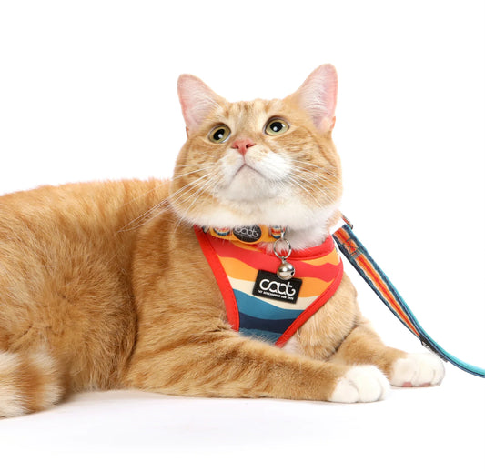 Caat - Cat Harness and Leash Combo - Scout