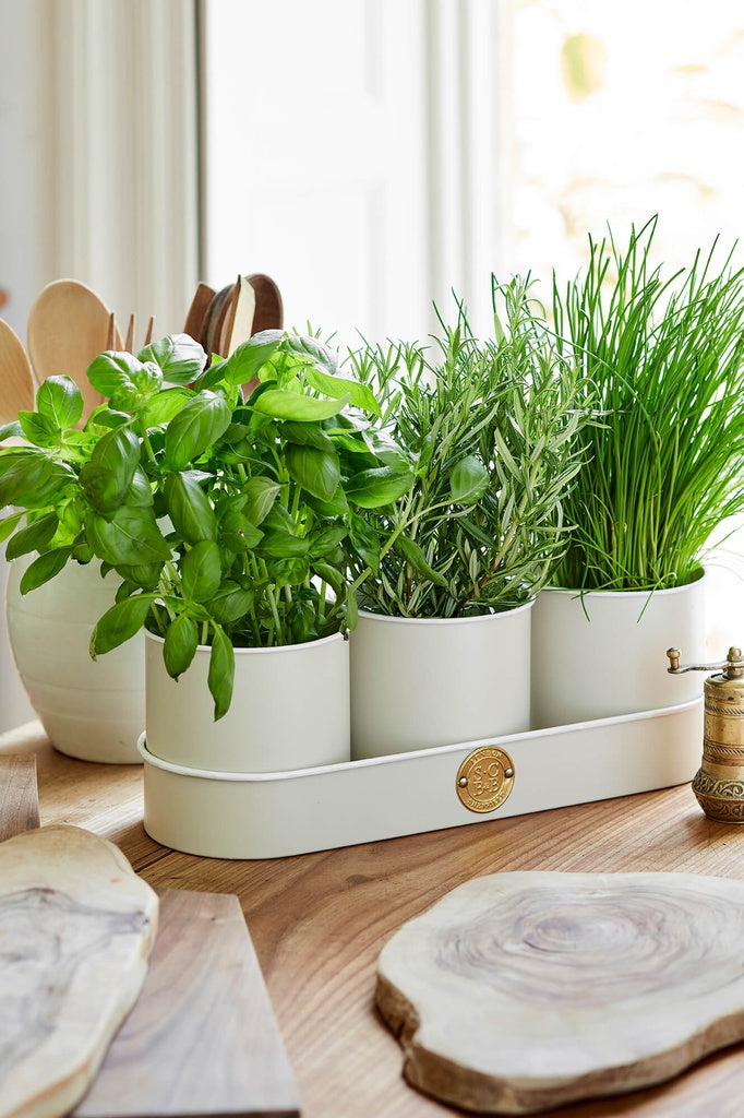 Sophie Conran - Herb Pots Buttermilk