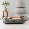 Load image into Gallery viewer, Superior - Ortho Haven Dog Bed
