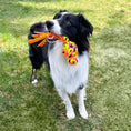 Load image into Gallery viewer, Dog carrying a KONG High-Vis Wubba
