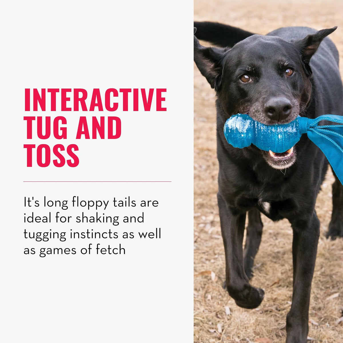 KONG Comet Wubba interactive tug and toss