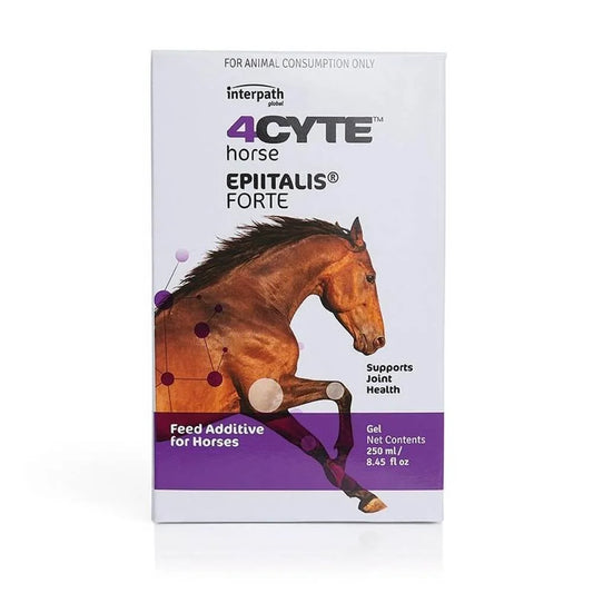 4Cyte - Equine Epiitalis Forte Gel 250Ml