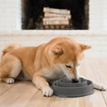 Load image into Gallery viewer, Outward Hound - Fun Feeder Slo Bowl - dog eating from bowl
