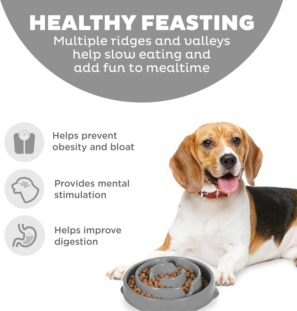 Outward Hound - Fun Feeder Slo Bowl - healthy feasting benefits