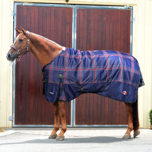 Zilco - Crusader 200 Rug - 6'0" - rug on a horse