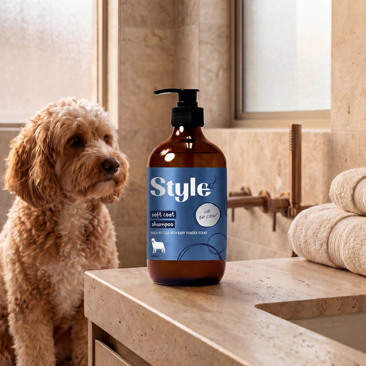Style It - Shea Butter with Baby Powder Fresh Scent Dog Shampoo 500ml - bottle on a bathroom bench with a dog