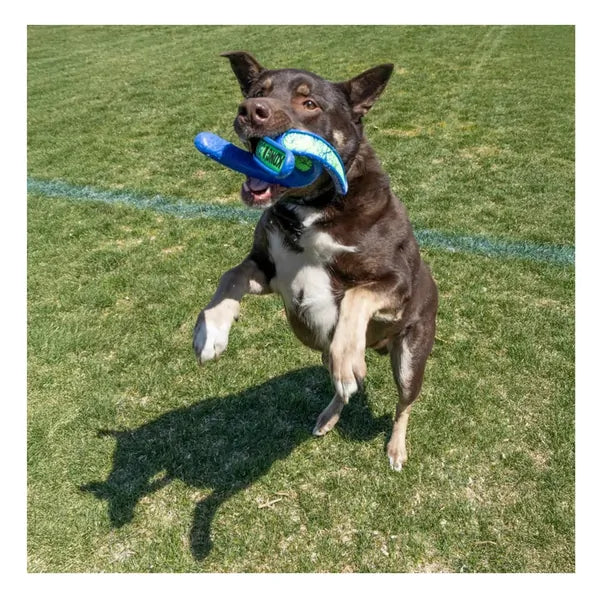 Kong - Whirlz Throw - Medium/Large - dog playing with the toy