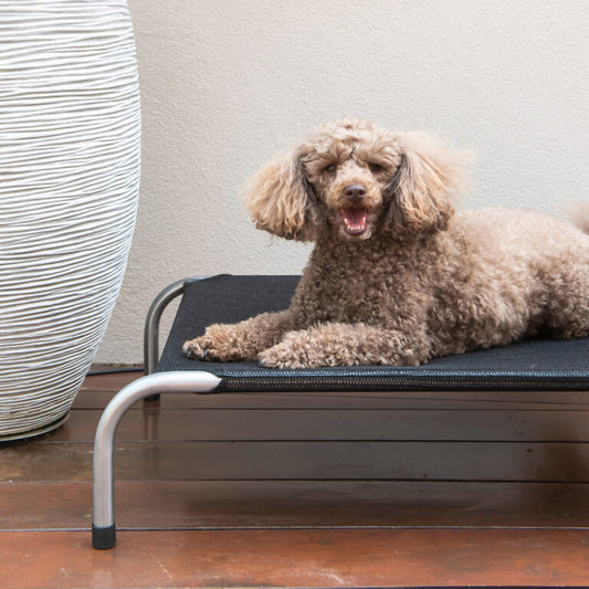 Superior - Original Flea-Free Dog Bed - Medium