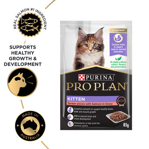 Pro Plan - Kitten Salmon Pouch 85g (12 Pack)