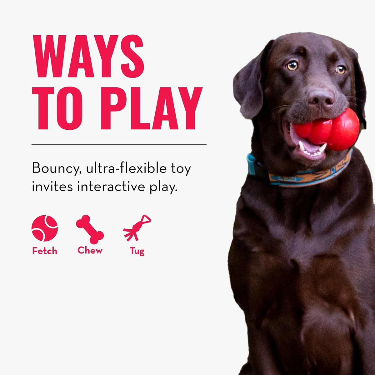 Kong - Reflex Flyer