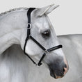 Load image into Gallery viewer, Lumiere Perseus Halter Full - grey horse wearing the black halter
