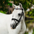 Load image into Gallery viewer, Lumiere Rainbow Bridle - grey pony wearing the bridle, front three-quarter view
