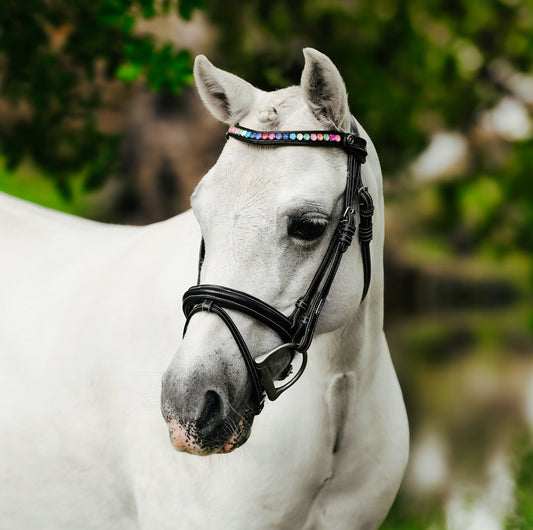 Lumiere Rainbow Bridle - grey pony wearing the bridle, front three-quarter view