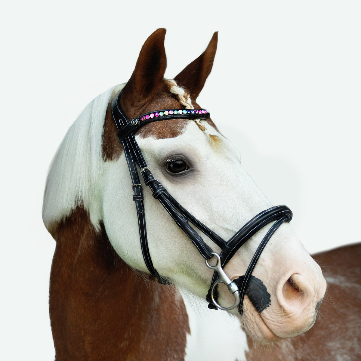 Lumiere Rainbow Bridle - pony wearing the bridle with an ear bonnet