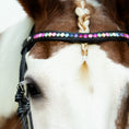 Load image into Gallery viewer, Lumiere Rainbow Bridle - rainbow crystal browband seen from the front
