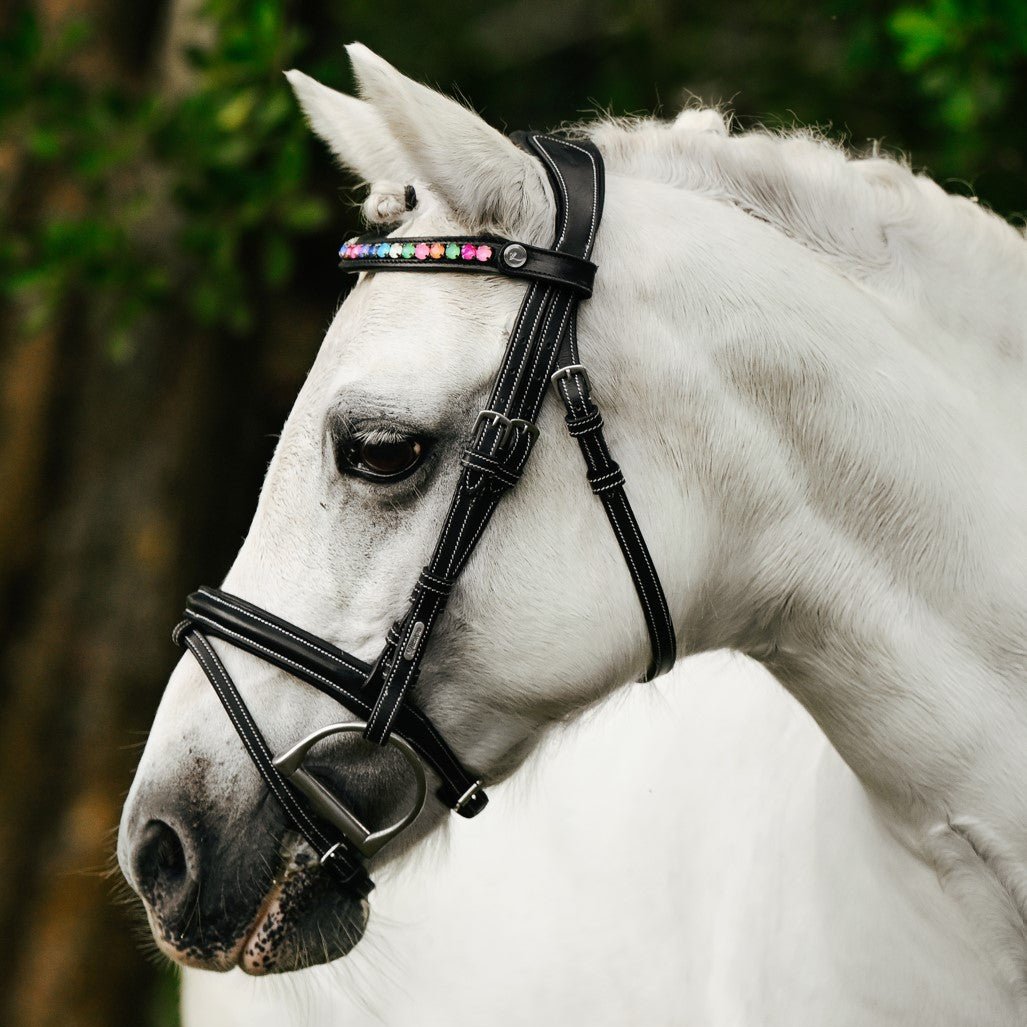 Lumiere Rainbow Bridle - grey pony wearing the bridle, side three-quarter view