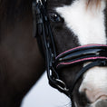 Load image into Gallery viewer, Lumiere Fairyfloss Bridle - close-up of the pink diamante noseband on a black and white pony
