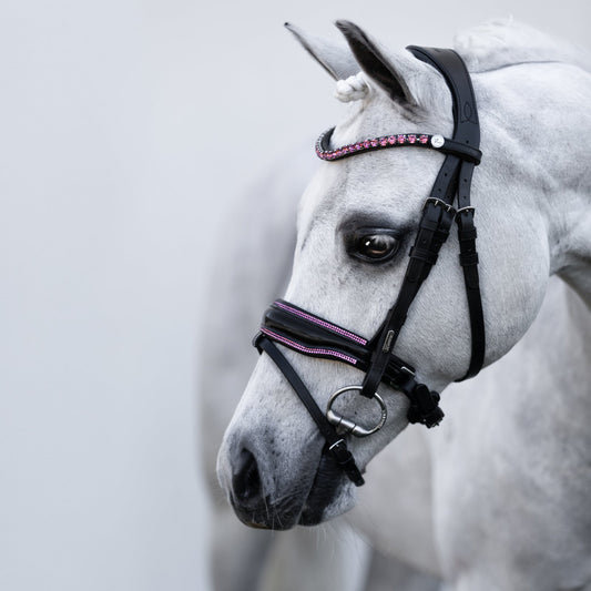Lumiere Fairyfloss Bridle - grey pony wearing the bridle, head in profile