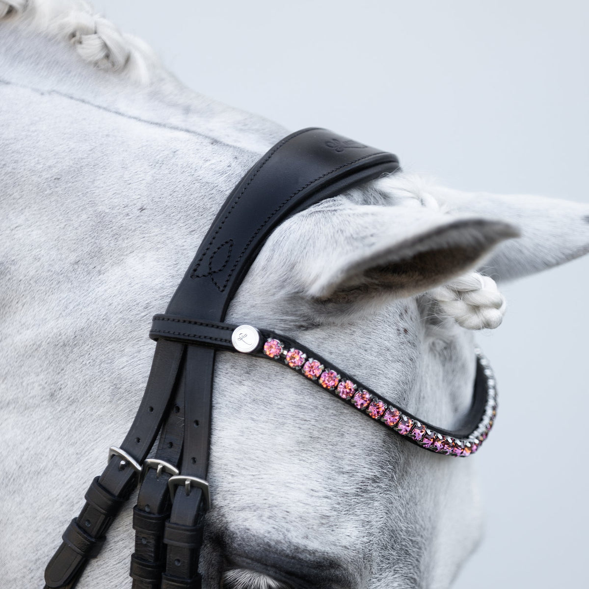 Lumiere Fairyfloss Bridle - close-up of the headpiece and pink crystal browband