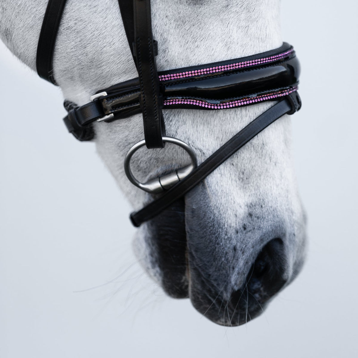 Lumiere Fairyfloss Bridle - close-up of the patent noseband on a grey pony