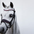 Load image into Gallery viewer, Lumiere Fairyfloss Bridle - grey pony wearing the bridle, front view
