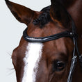 Load image into Gallery viewer, Lumiere Stella Bridle - close-up of the curved browband from the front
