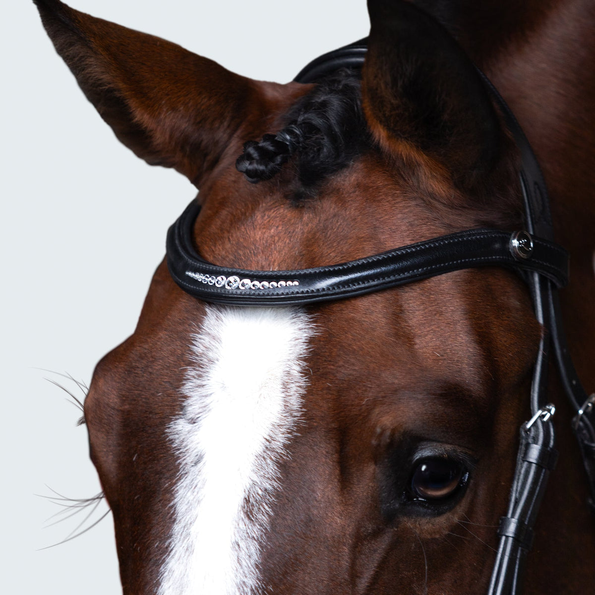 Lumiere Stella Bridle - close-up of the curved browband from the front