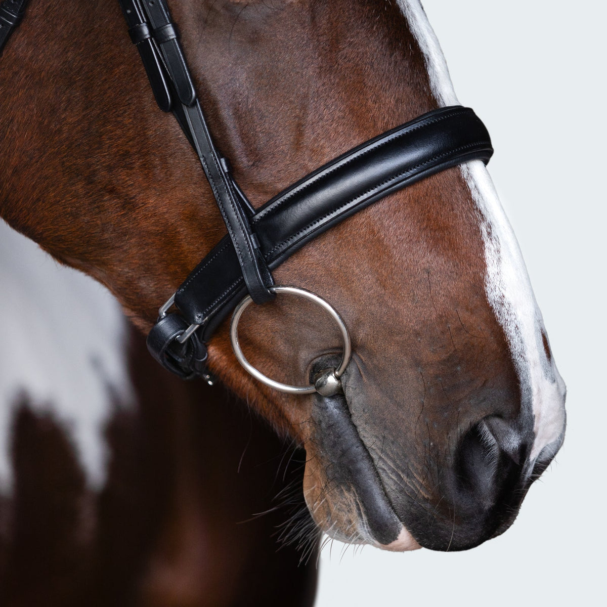 Lumiere Stella Bridle - close-up of the cavesson noseband
