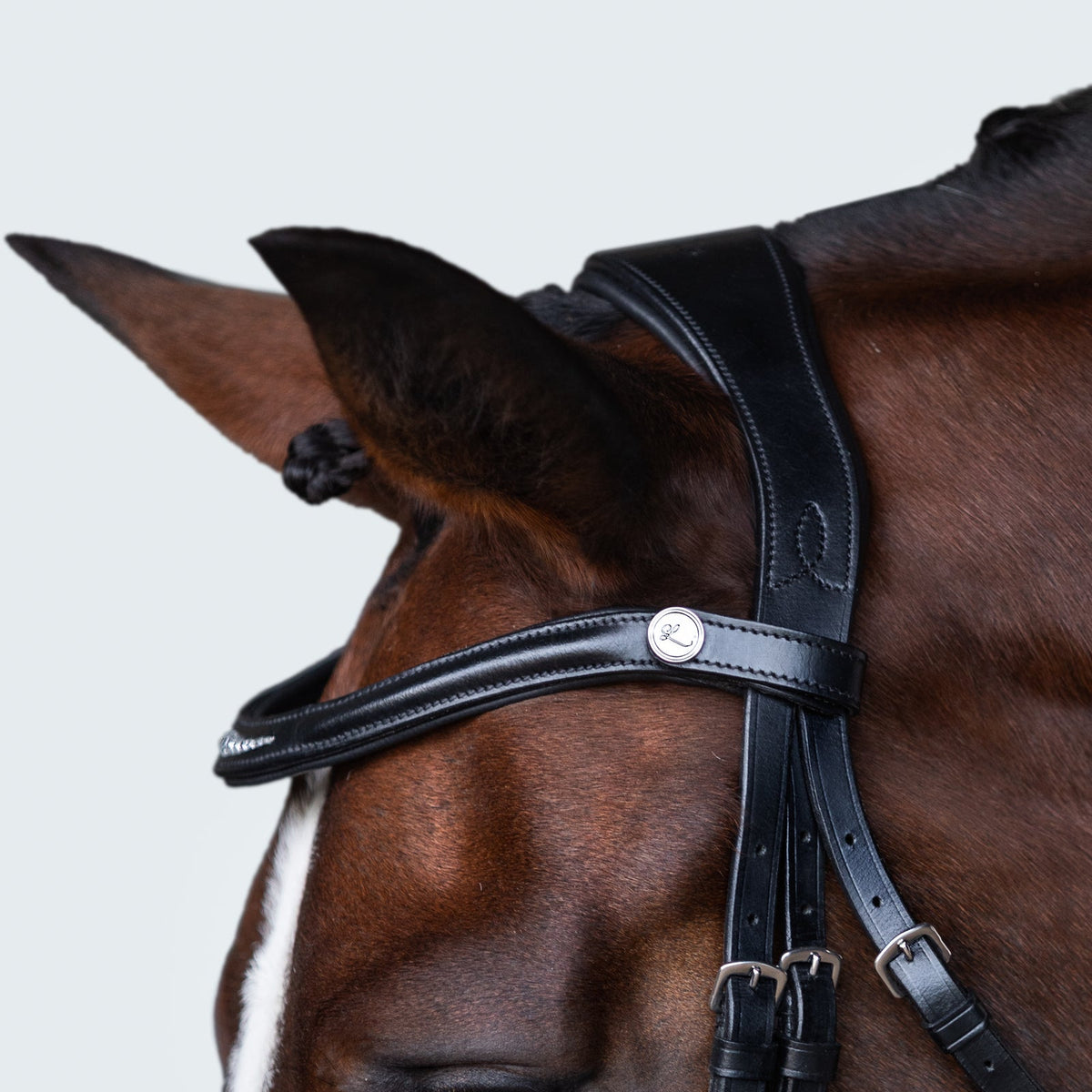 Lumiere Stella Bridle - close-up of the headpiece and browband
