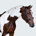 Load image into Gallery viewer, Lumiere Stella Bridle - horse wearing the black bridle, three-quarter view
