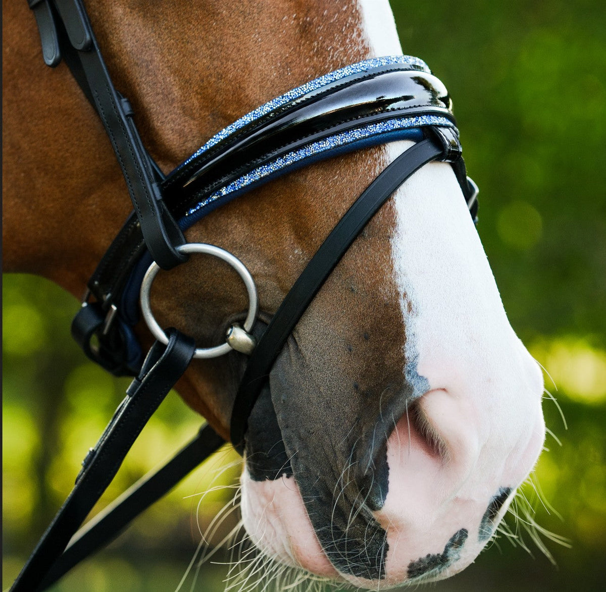 Lumiere Paris Bridle (Hanoverian) - close-up of the noseband