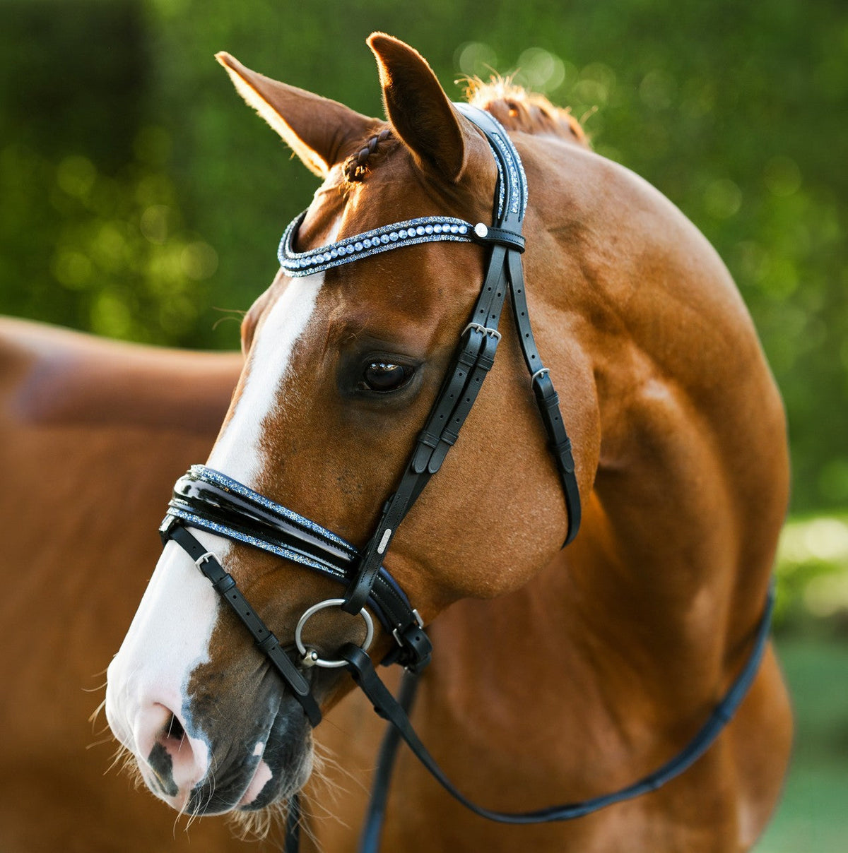 Lumiere Paris Bridle (Hanoverian) - chestnut horse wearing the bridle, three-quarter view