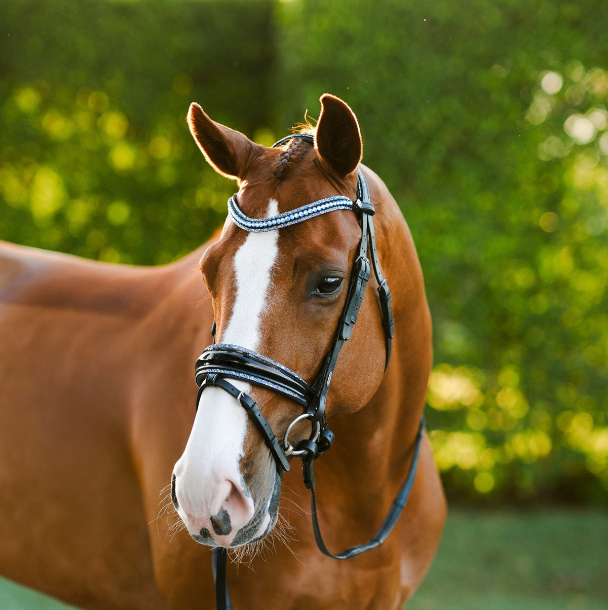 Lumiere Paris Bridle (Hanoverian) - chestnut horse wearing the bridle, front three-quarter view