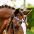 Load image into Gallery viewer, Lumiere Paris Bridle (Hanoverian) - close-up of the browband and headpiece from the side
