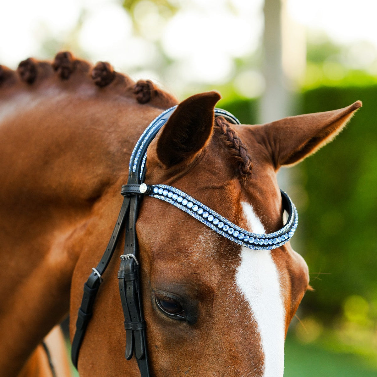 Lumiere Paris Bridle (Hanoverian) - close-up of the browband and headpiece from the side