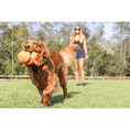 Load image into Gallery viewer, TGG-3000711 - gallery_5

