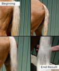 Load image into Gallery viewer, TGG-3000740 - gallery_1

