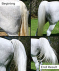Load image into Gallery viewer, TGG-3000740 - gallery_2
