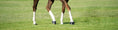 Load image into Gallery viewer, TGG-3000743 - gallery_5
