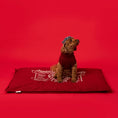 Load image into Gallery viewer, Snooza - Cotton Canvas Futon - Rust - Mighty size with dog
