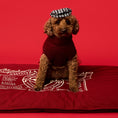 Load image into Gallery viewer, Snooza - Cotton Canvas Futon - Rust - Original size with dog sitting
