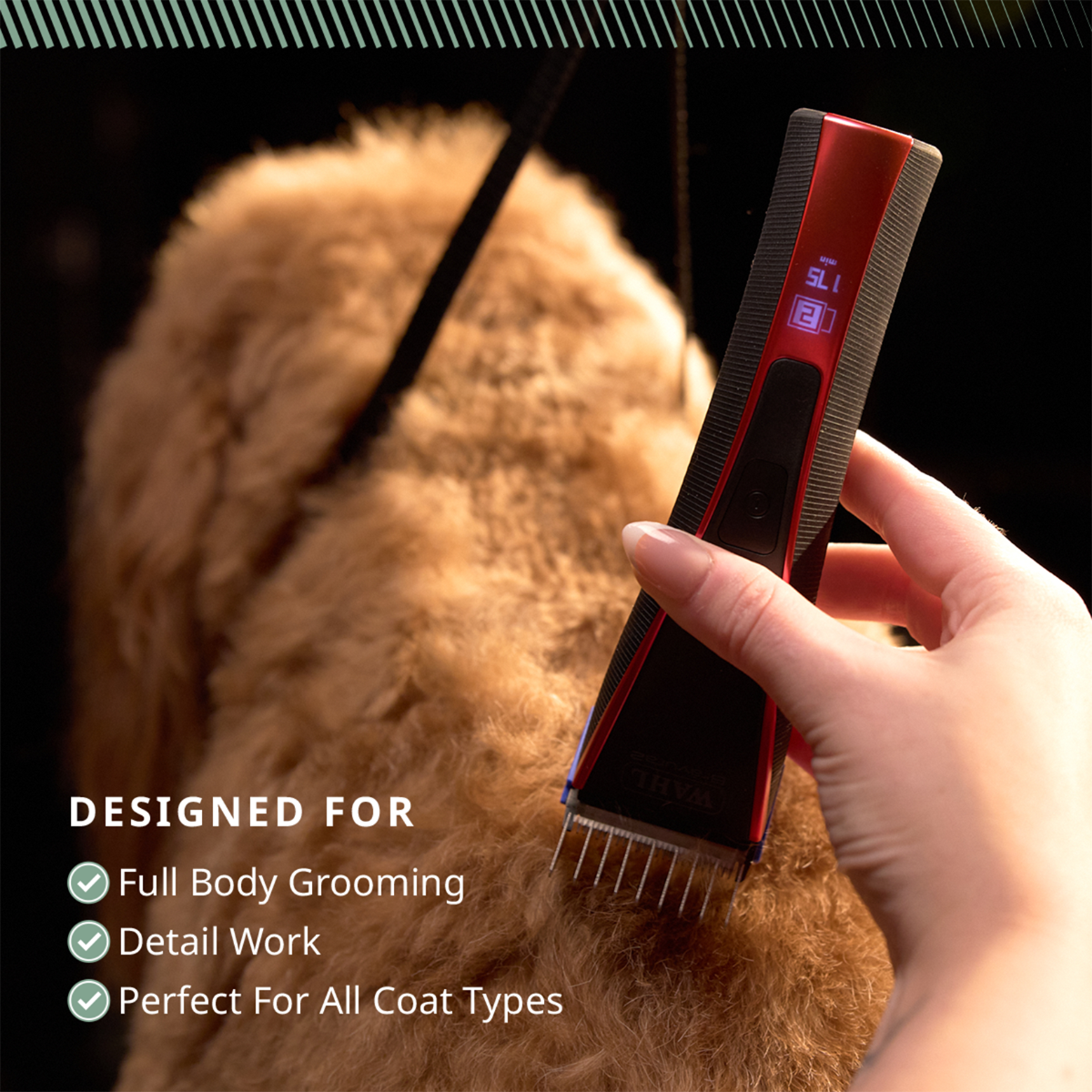 Wahl - Bravura2 Cordless Pet Clipper - grooming a dog's coat