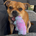 Load image into Gallery viewer, Happy Staffy Co - Cosmo Critter
