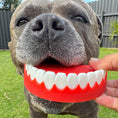 Load image into Gallery viewer, Happy Staffy Co - Chatter Chompers
