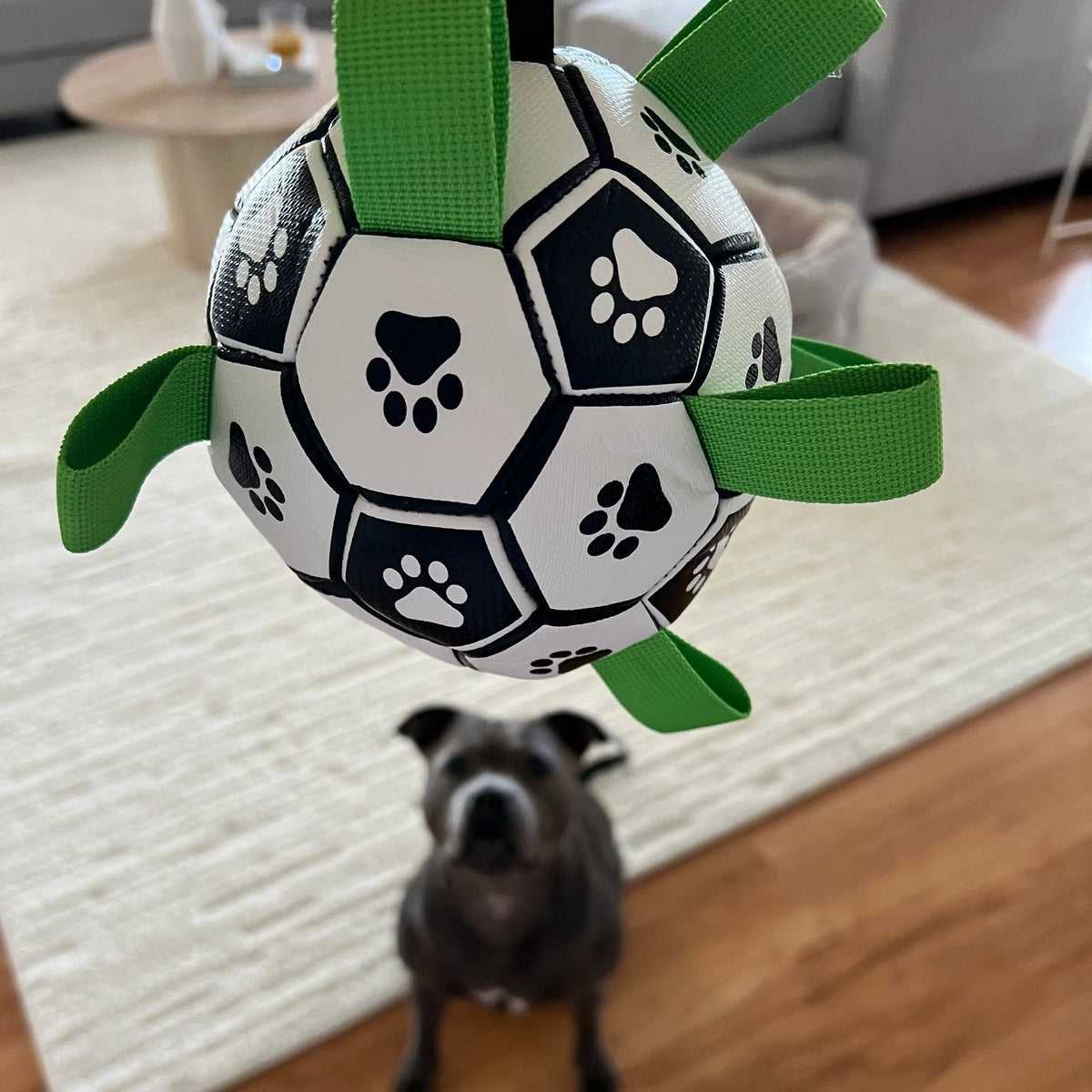 Happy Staffy Co - Ronaldog Soccer Ball