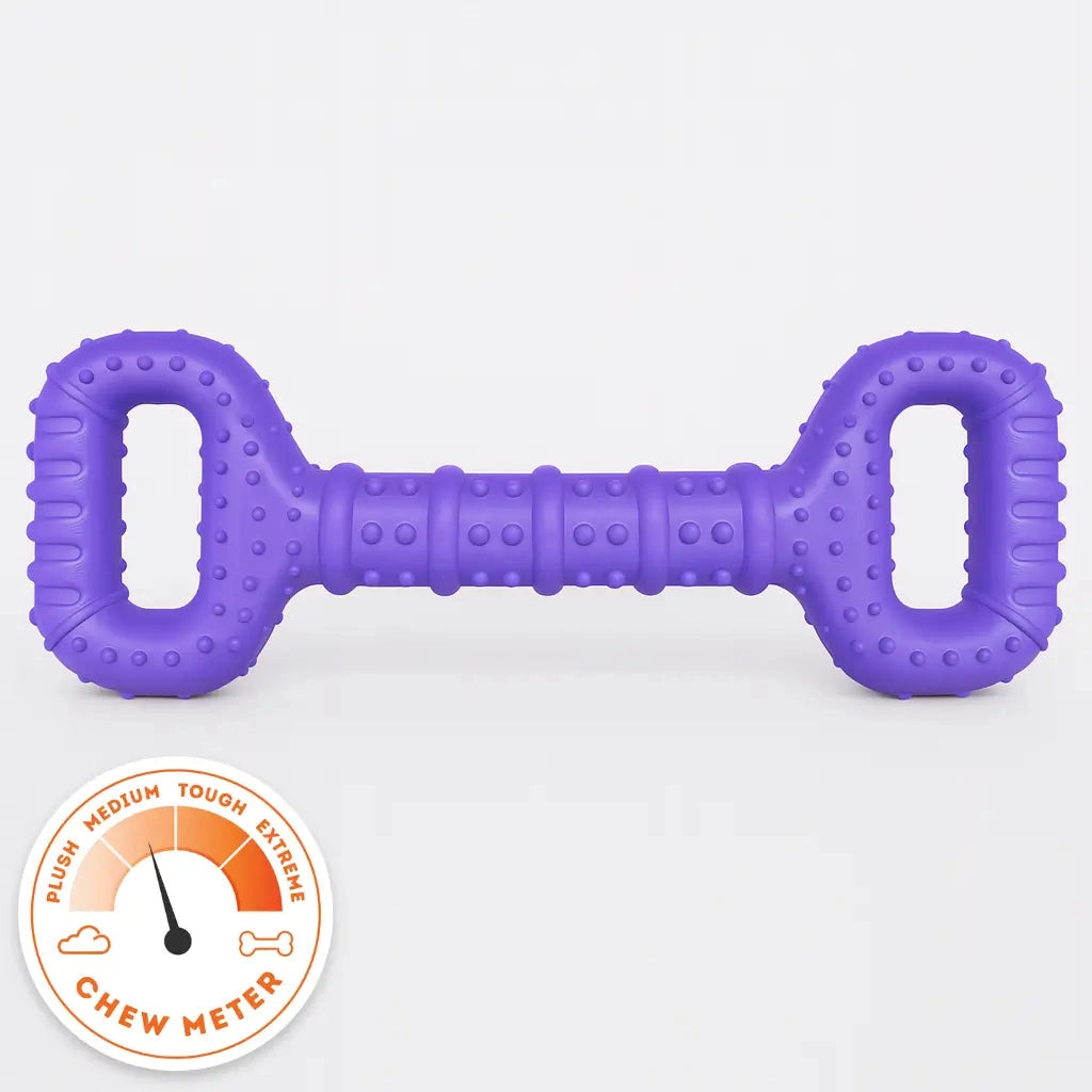 Happy Staffy Co - Tommy Tug Handle Purple