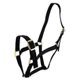 Load image into Gallery viewer, Bainbridge - Horse Halter - Cob Black
